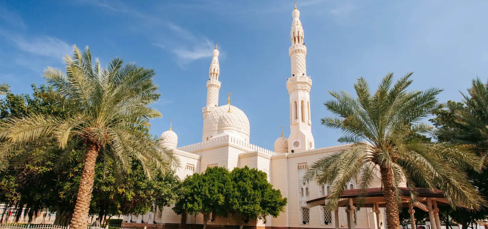 Dubai City Tour